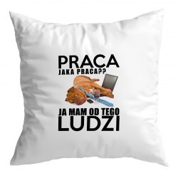 Poduszka Mam od tego ludzi