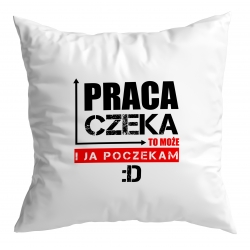 Poduszka Praca czeka to i ja poczekam