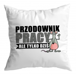 Poduszka Przodownik Pracy