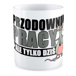 Zestaw Przodownik Pracy