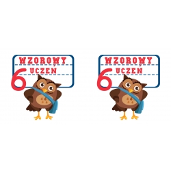 Kubek Wzorowy uczeń